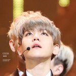 [EXO] 진짜 <b>늑대소년</b>같다