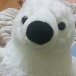 [EXO] 사진보고빡쳐서 곰<b>세지</b>한테 화풀이함 ㅅㅂ 미안해ㅠㅠ