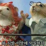 [EXO] 솔직히 애들 무대할때 <b>무릎</b>꿇고 본사람?