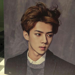 [EXO] 살빼고 <b>성형</b>하고 <b>화장</b>하고 옷이쁘게입고 꾸미면