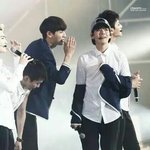 [EXO] 둥이면미안한데 너네이거봄?;;;