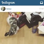[EXO] 타오 인스타 <b>캔디</b>ㅋㅋㅋㅋㅋ