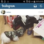 [EXO] 캔디 아빠닮아서 <b>허당</b>이네ㅋㅋㅋㅋㅋㅋㅋ