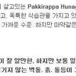 [추억파리여] 밥 대신 <b>벽돌</b>을 먹는 사람