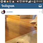 [EXO] 티<b>1</b>파<b>1</b>니 인스타동영상인데 집 좋아보인다..