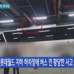 [추억파리여] 제2<b>롯데</b>월드 개장 후 일어난 사건사고 모음