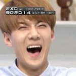 [EXO] 우리 아파트 앞에? <b>ktx</b>