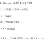 [EXO] 뉴비 <b>지침서</b> 찾아옴