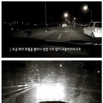 [추억파리여] <b>위협</b> 운전자의 흔한 최후