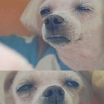 [EXO] 애들<b>연예</b>대상왜나왔어???