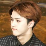 [EXO] 세후니머리좀잘라쥬세요ㅠㅠㅠ