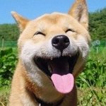 [<b>지린</b>다] 여시댓글 ㅋㅋ 왜케 웃기징