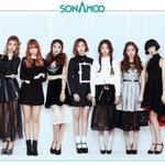 [소나무] 이번 공식색 사태..;;;;