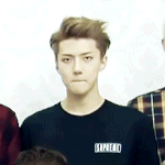 [EXO] ㅇㅒㅐ들아