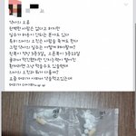 [추억파리여] 어처구니 없는 <b>약사</b>의 실수