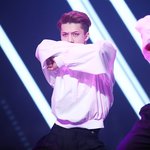 [EXO] 애들...진짜 <b>악필</b>이구나.........
