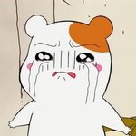 오늘 학교에 <b>브라</b> 안하고 갔는데