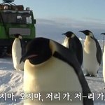 [EXO] <b>사칭</b>년 부들부들잼??