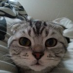 [<b>랄프</b>짱짱] 안녕하세요 <b>랄프</b>입니다.