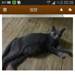 [<b>고은이</b>] 동거남과 헤어졌다는 이유로 파양된 <b>고은이</b>..