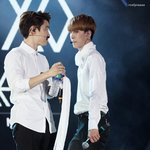 [EXO] 오세훈으로 <b>호모</b>질하기