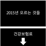 [추억파리여] 2015년에 오르고 내리는 것