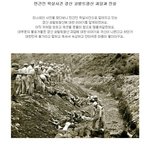 [추억파리여] <b>경산</b> 코발트 광산의 괴담과 진실