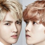 [루한] <b>SM</b>은 루한을 붙잡아야한다. 