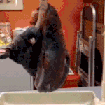 [<b>루니</b>시] 흡연자 폐 vs 비흡연자 폐