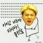 [EXO] ㅅㅂ걔들이표절을<b>하든</b>말든