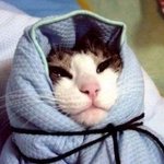 [EXO] 야근데 솔직히 <b>야외무대</b>