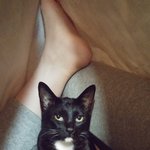 [아배붑앓이] 요즘 아배붑이랑 <b>들꽃</b>이 안 보이네요..ㅜㅜ