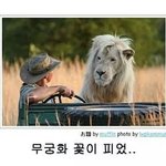 [EXO] 강아지들코<b>촉촉</b>하고엄청차가운거