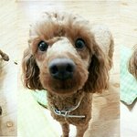 [EXO] <b>월월</b>!!! <b>월</b>월월!!!!