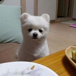 [EXO] 애들아!!!!!!!!!!!!!!!!!!!!