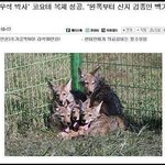 [EXO] 기사보고 개<b>터짐</b>ㅋㅋㅋㅋㅋㅋ