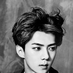 [EXO] 나만 올린센좋음?