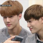 [EXO] 내가 캘린더나 <b>포토북</b>을 만드려고 하는데