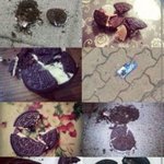 [EXO] 난그냥<b>오레오</b>가ㅈㄴ불쌍할뿐