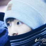 [EXO] 오늘고딩애들수학여행갔어??