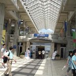 가족들과 다녀온 오키나와 츄<b>라우</b>미수족관