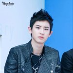 [EXO] 지금<b>동물</b>농.장 보는데) ㅅㄷ