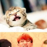 [EXO] 헐...<b>동방</b> 평균키가 185라며