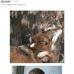 [<b>지린</b>다] 남자의 멘탈이 나갈때