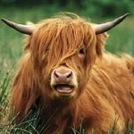 [<b>베베</b>] 소간지 ㅋㅋ