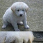 [EXO] 레1벨 <b>남팬</b>없지않음?