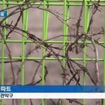 [추억파리여] <b>임대</b> 아파트의 서러움