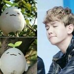 [EXO] 타 <b>연예인</b> <b>사진</b> 작작 올려라