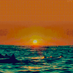 [추억파리여] 심심할때 볼만한 공포영화 20선