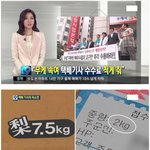 [추억파리여] <b>믿음직</b>한 우체국 택배 jpg